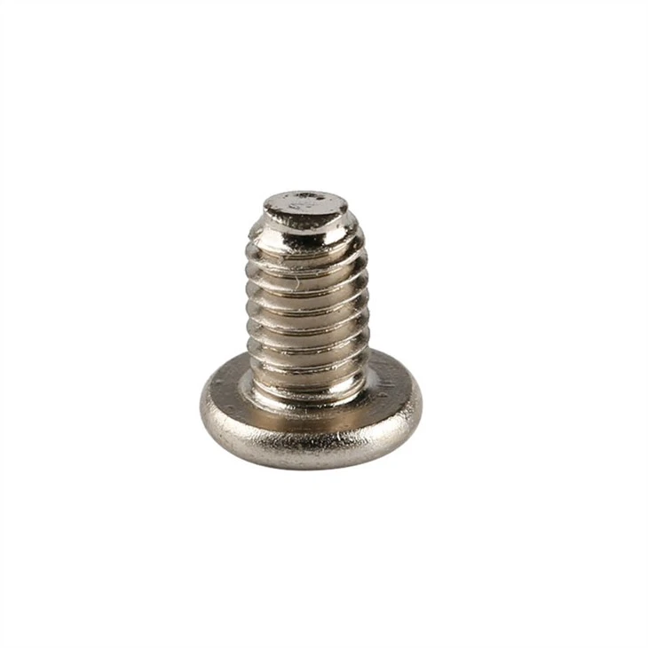 Stainless Steel Micro Screws
