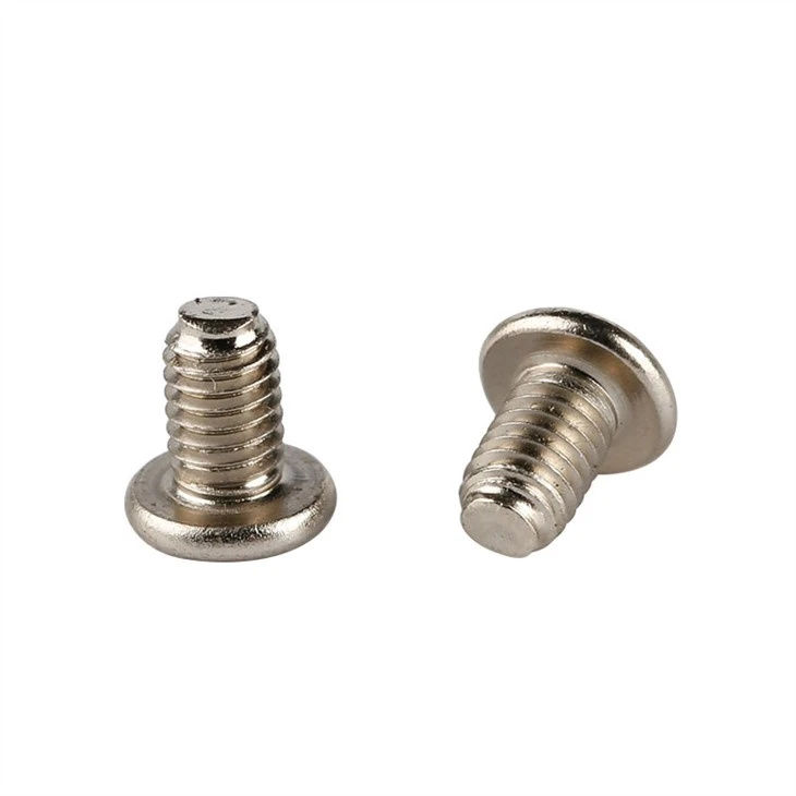 Stainless Steel Micro Screws
